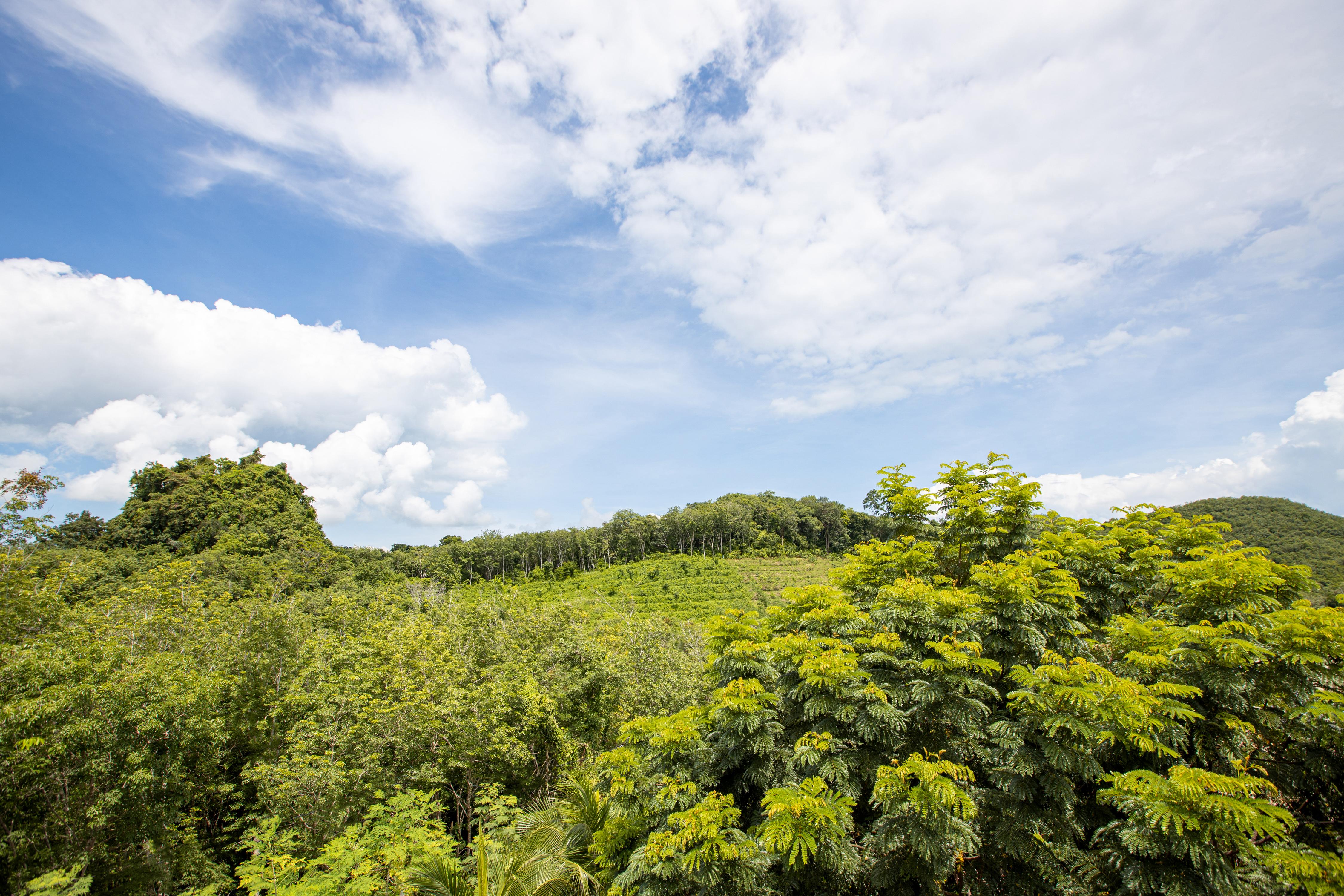 Samsam Yao Noi - Andaman Magic & Art Villas Jaunoj-sziget Kültér fotó
